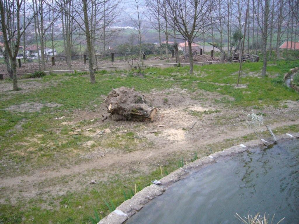 [P1070934.jpg]