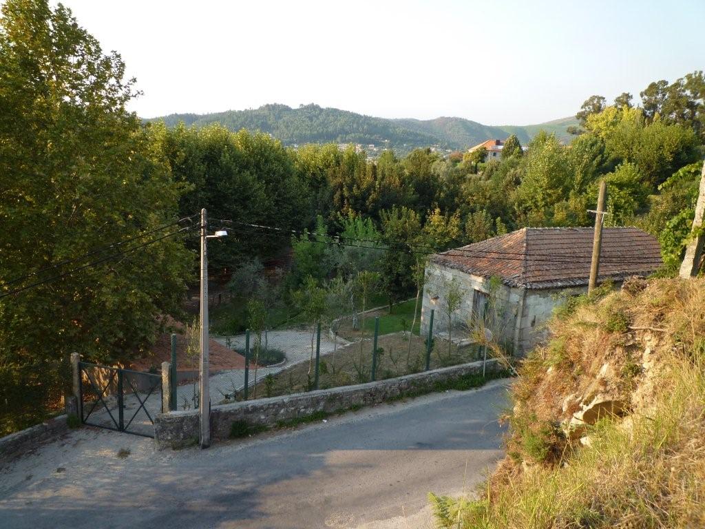 [P1000181.jpg]