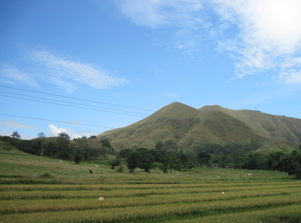 Mike Pua's Blog Dupax del Sur, Nueva Viscaya