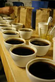 Cupping