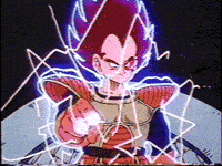 vegeta vegeta
