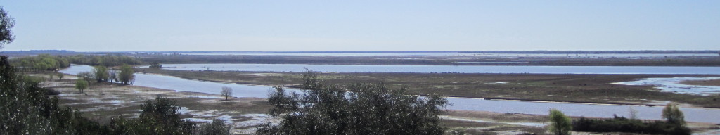 Parana