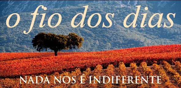 o fio dos dias