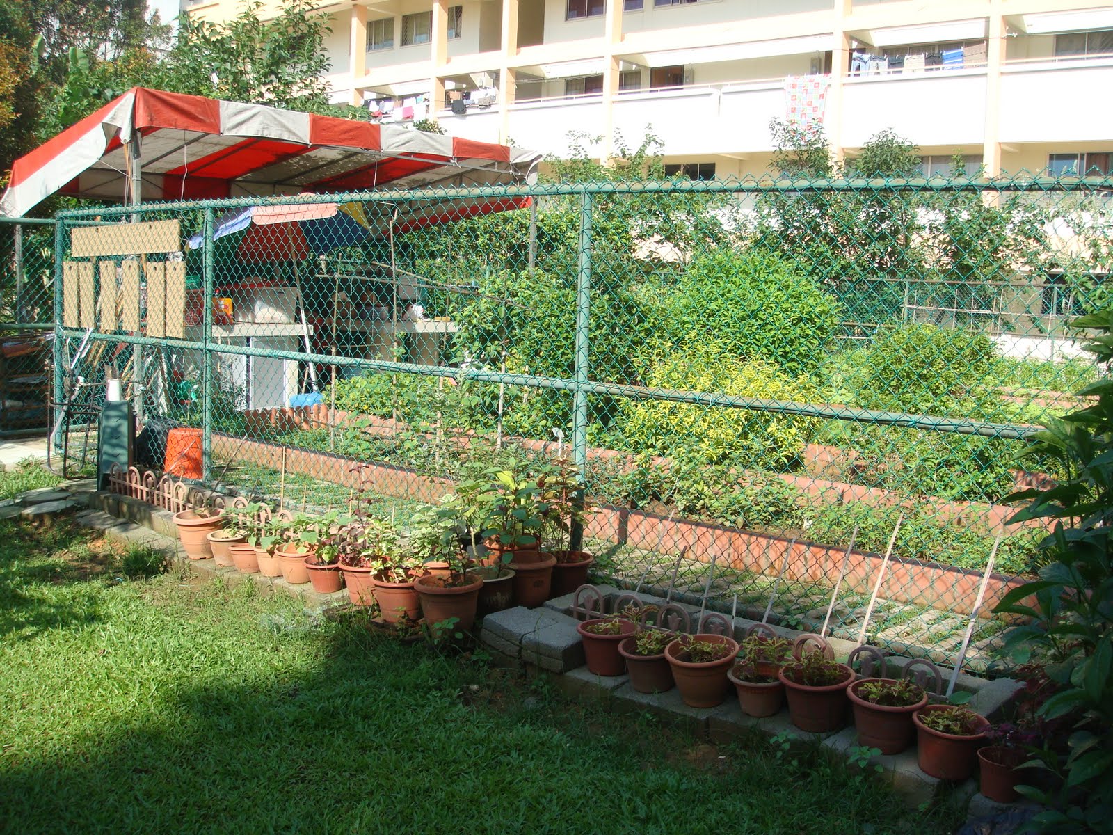 Gardening Dream Inspire Melon Fence