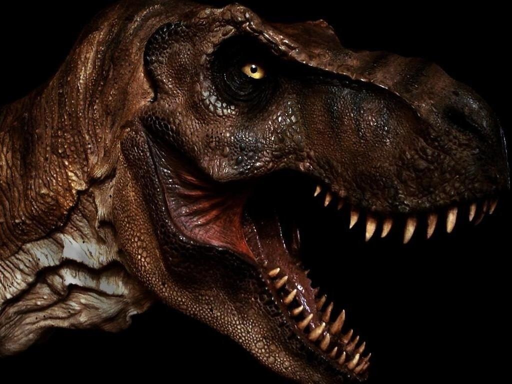 Extinción de los dinosaurios: El tiranosaurio Rex.