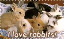 [TY-Rabbits.gif]