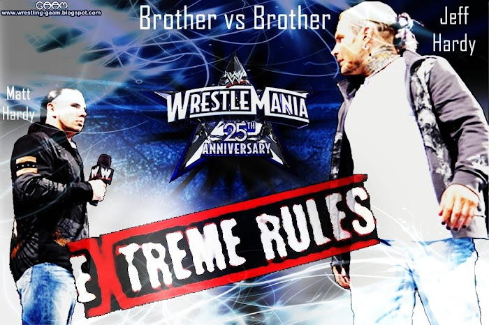Brother vs Brother - Wrestlemania 25
