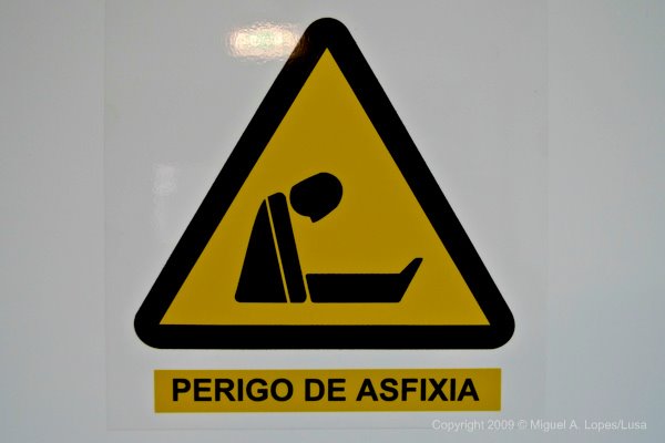 [P1060436+copy+copyA.JPG]