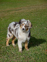 14 Weeks