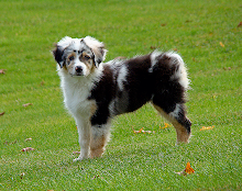 12 Weeks
