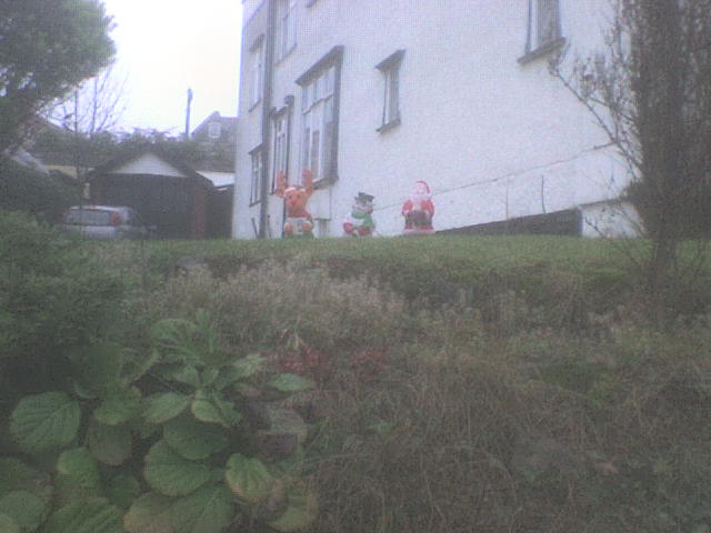 [DSC00296.JPG]