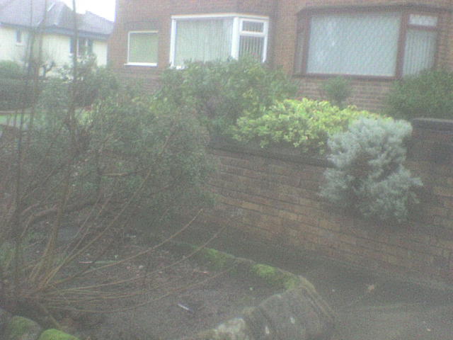 [DSC00302.JPG]