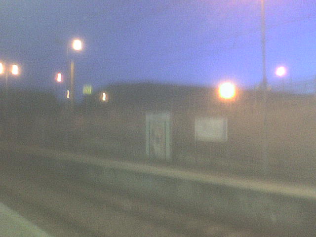 [DSC01585.JPG]