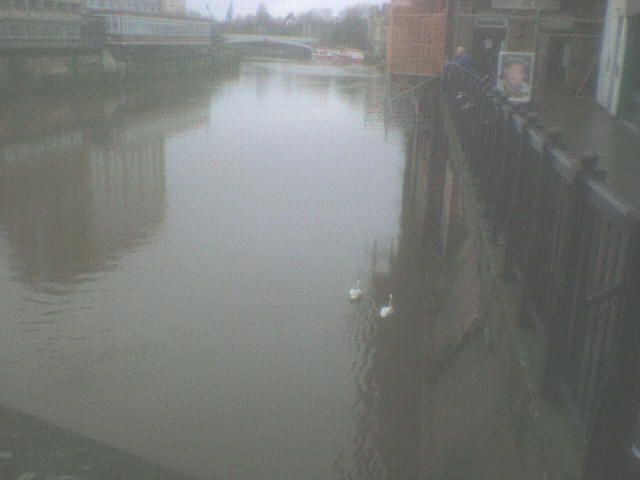 [DSC01561.JPG]