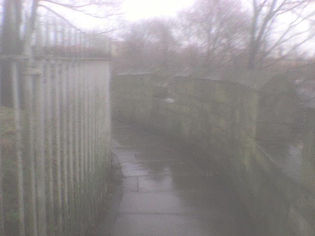 [DSC01506.JPG]