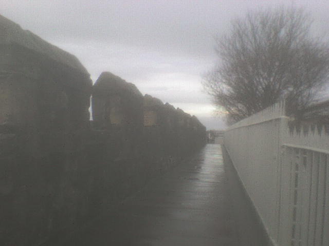 [DSC01498.JPG]