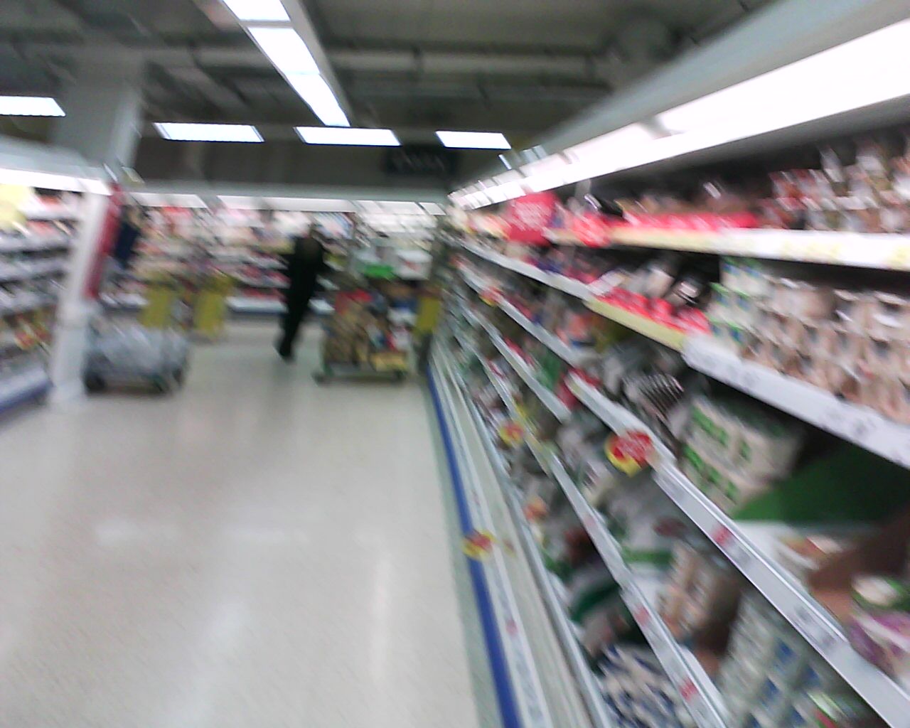 [DSC00535.jpg]
