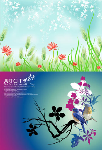 [VectorBackground.jpg]