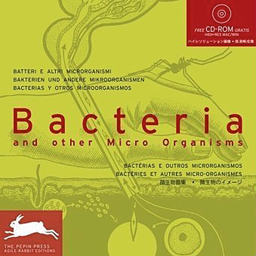 [Bacteria.jpg]