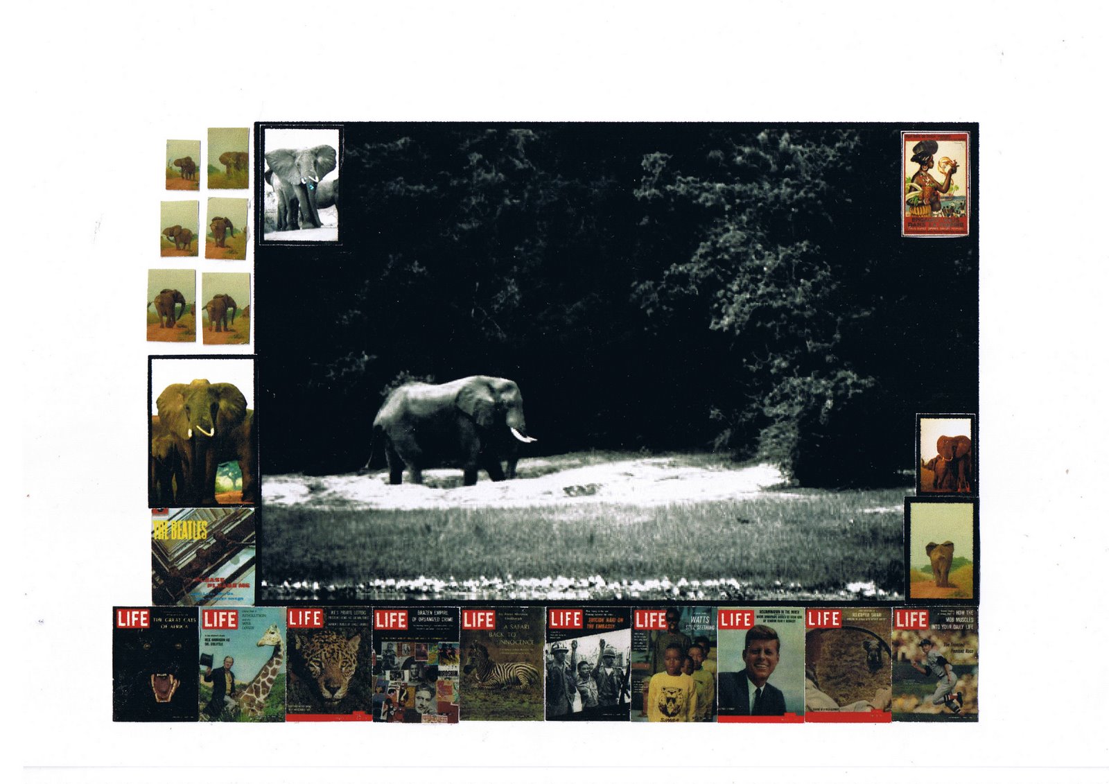 [CCF26012009_00000.jpg]