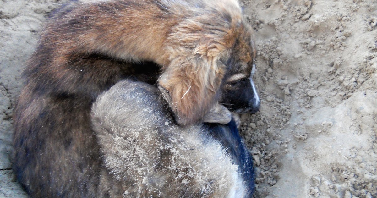 Cemented In Contemplation