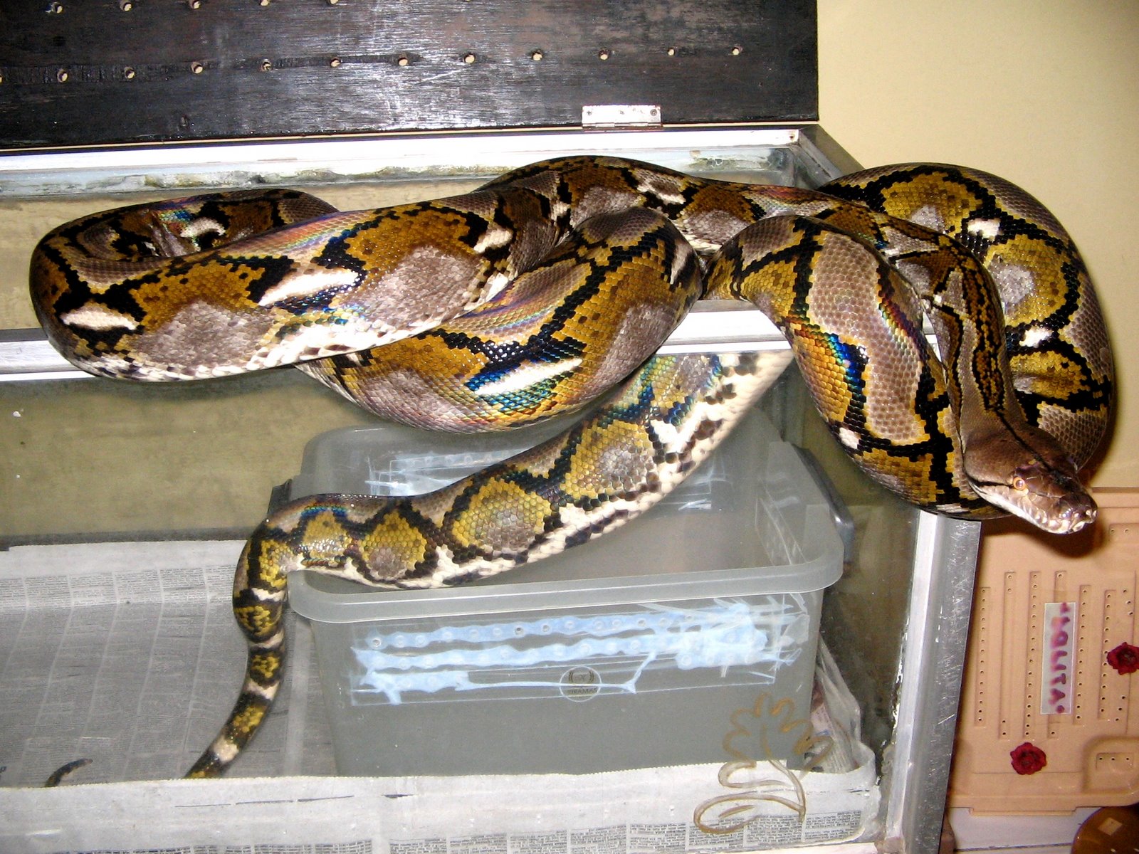 [IMG_1437co.JPG]