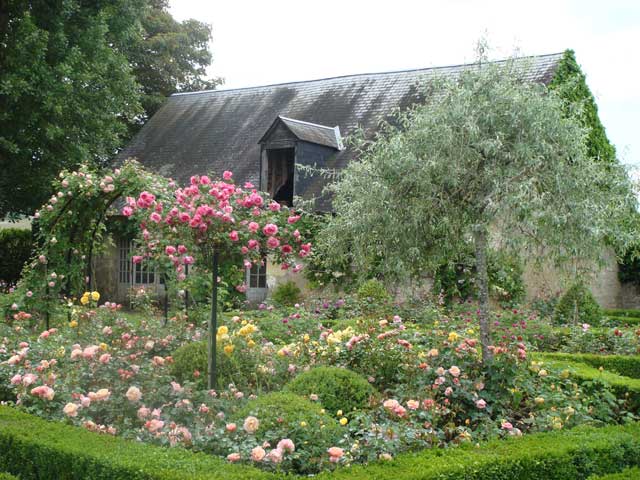 الحدائق الفرنسية French+rose+garden