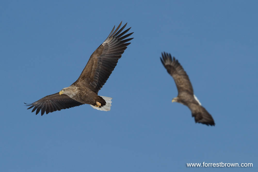 [2010-02-01+Hokkaido_9935.jpg]