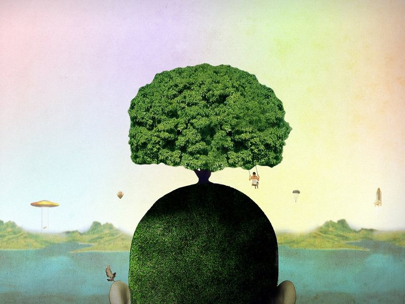 EL ARBOL DE LA VIDA LIBRO el arbol de la vida libro:
