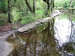 Wet Camino