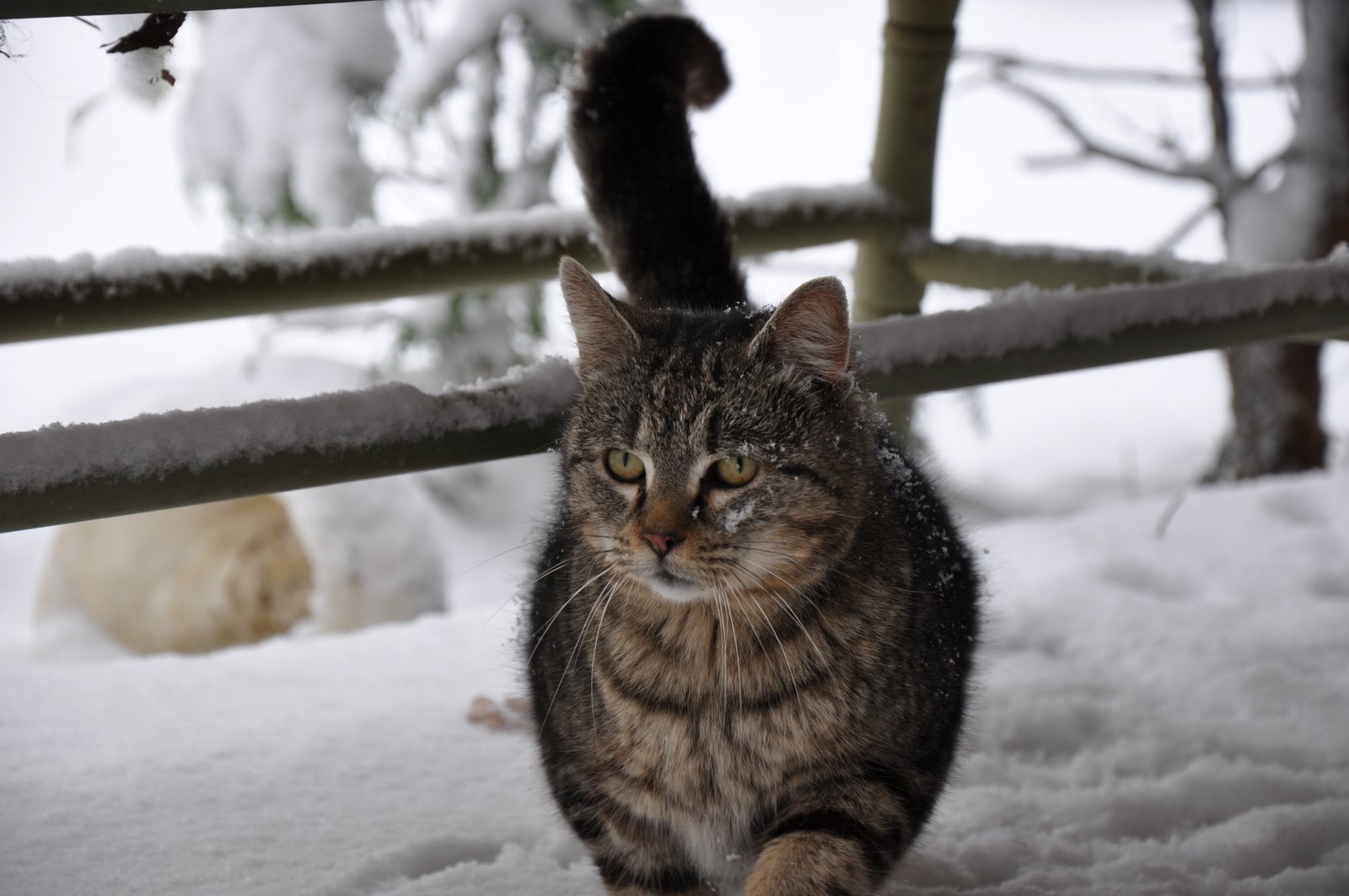 [DSC_0022.JPG]