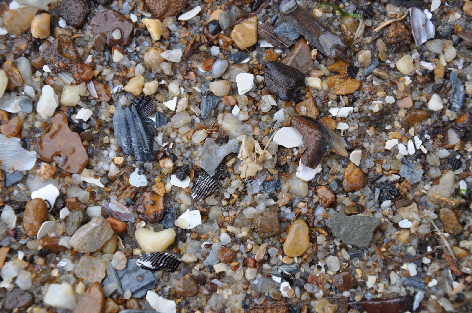 [DSC_0176.JPG]