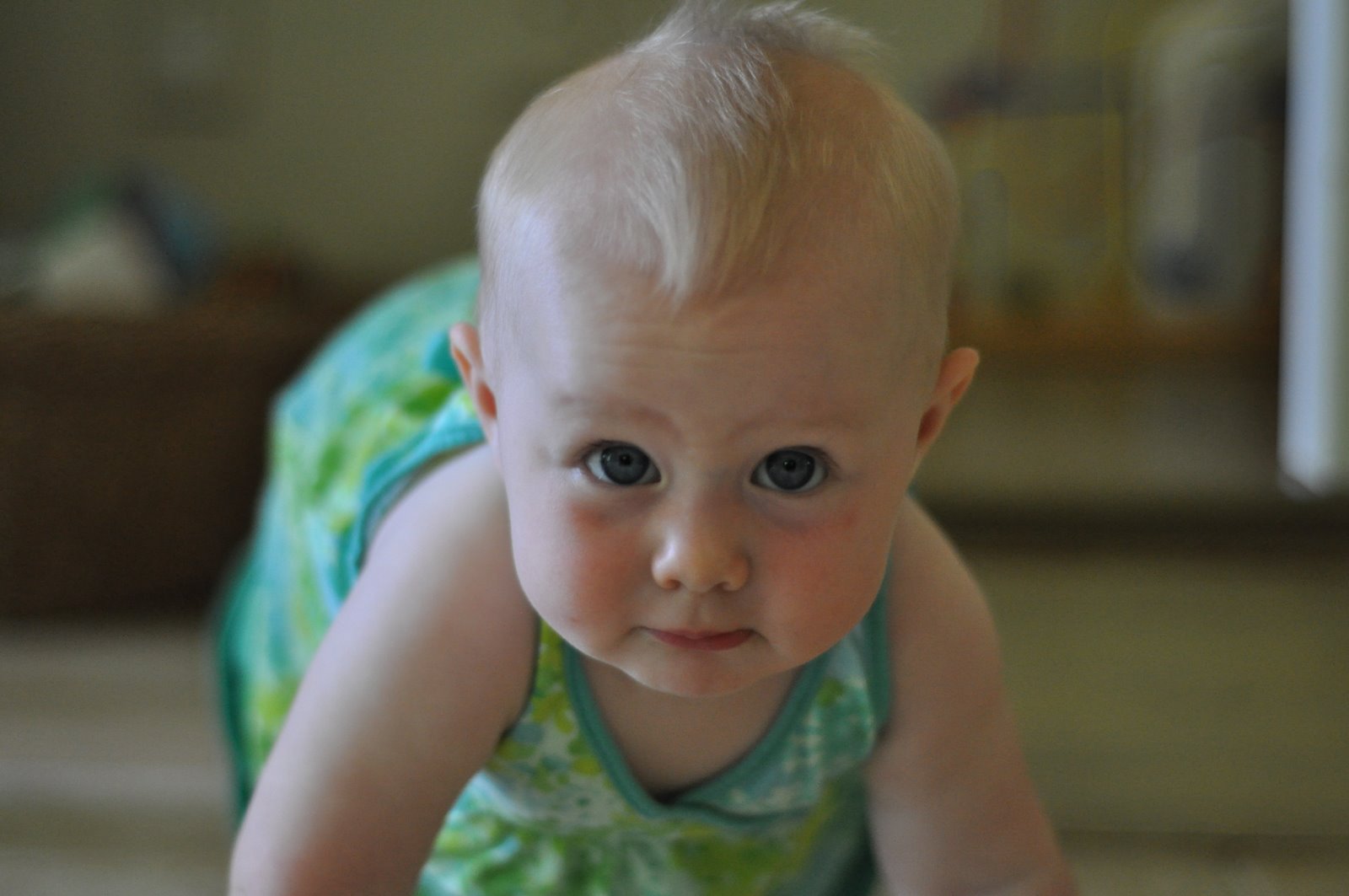 [DSC_0046-3.JPG]