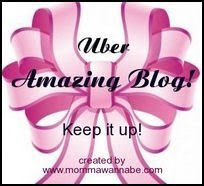 Premio Amazing blog