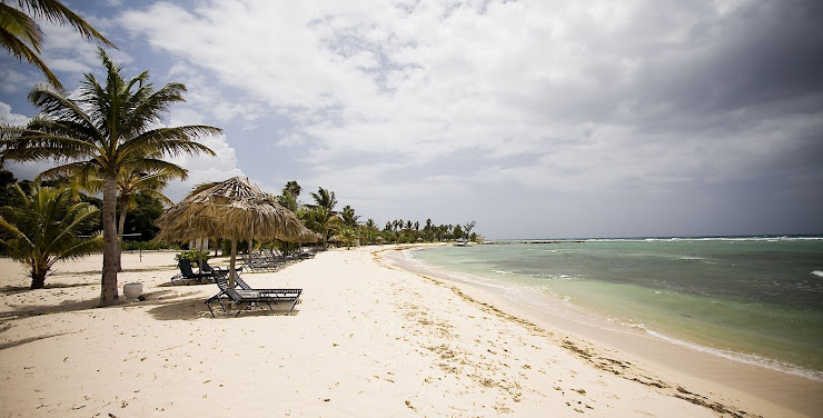 Paseo de las Palmeras