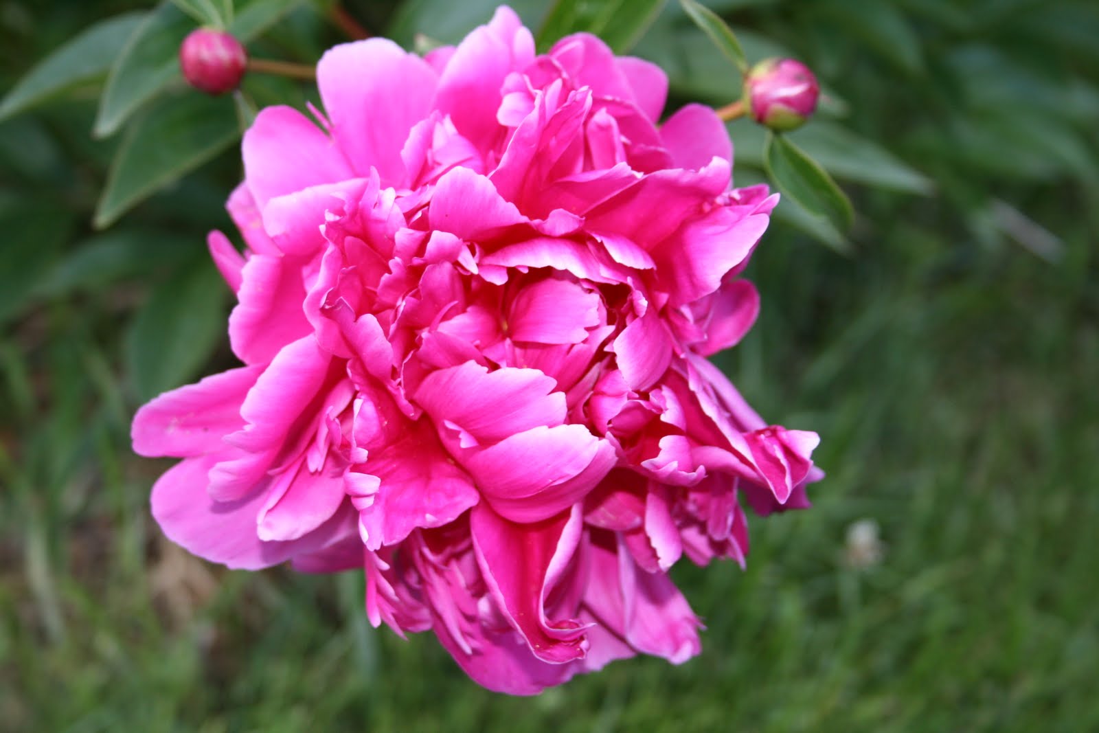 [IMG_0337.JPG]