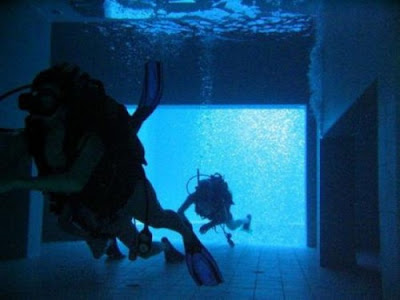 La piscina La piscina