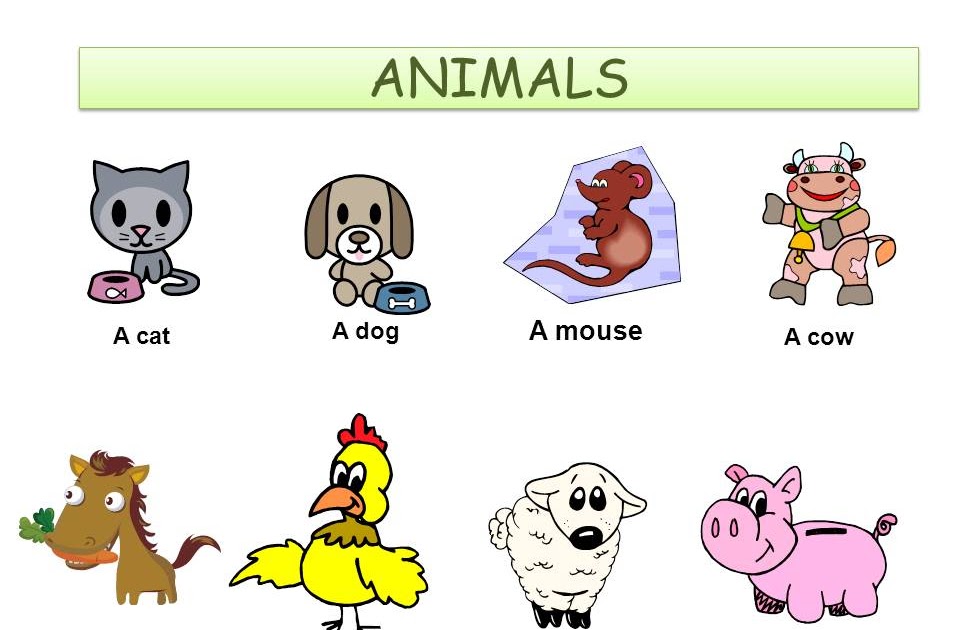 English Goodie Bag: Picture Dictionary - Animals
