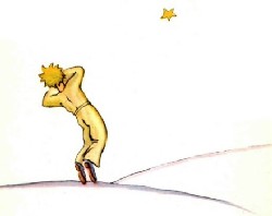 [PETITPRINCE.jpg]