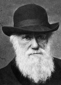 [Darwin..JPG]