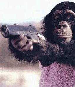 Chimp Gun