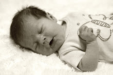 New Born Photo Shoot