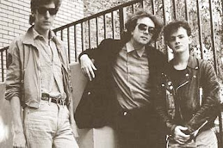 biography ian mcnabb and the icicle works icicle works