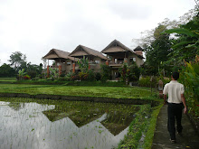 Hotel in Ubud overlooking rice paddies