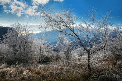 Beautiful Pictures