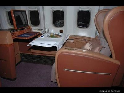 Luxury Airlines