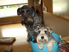 Other Family Members