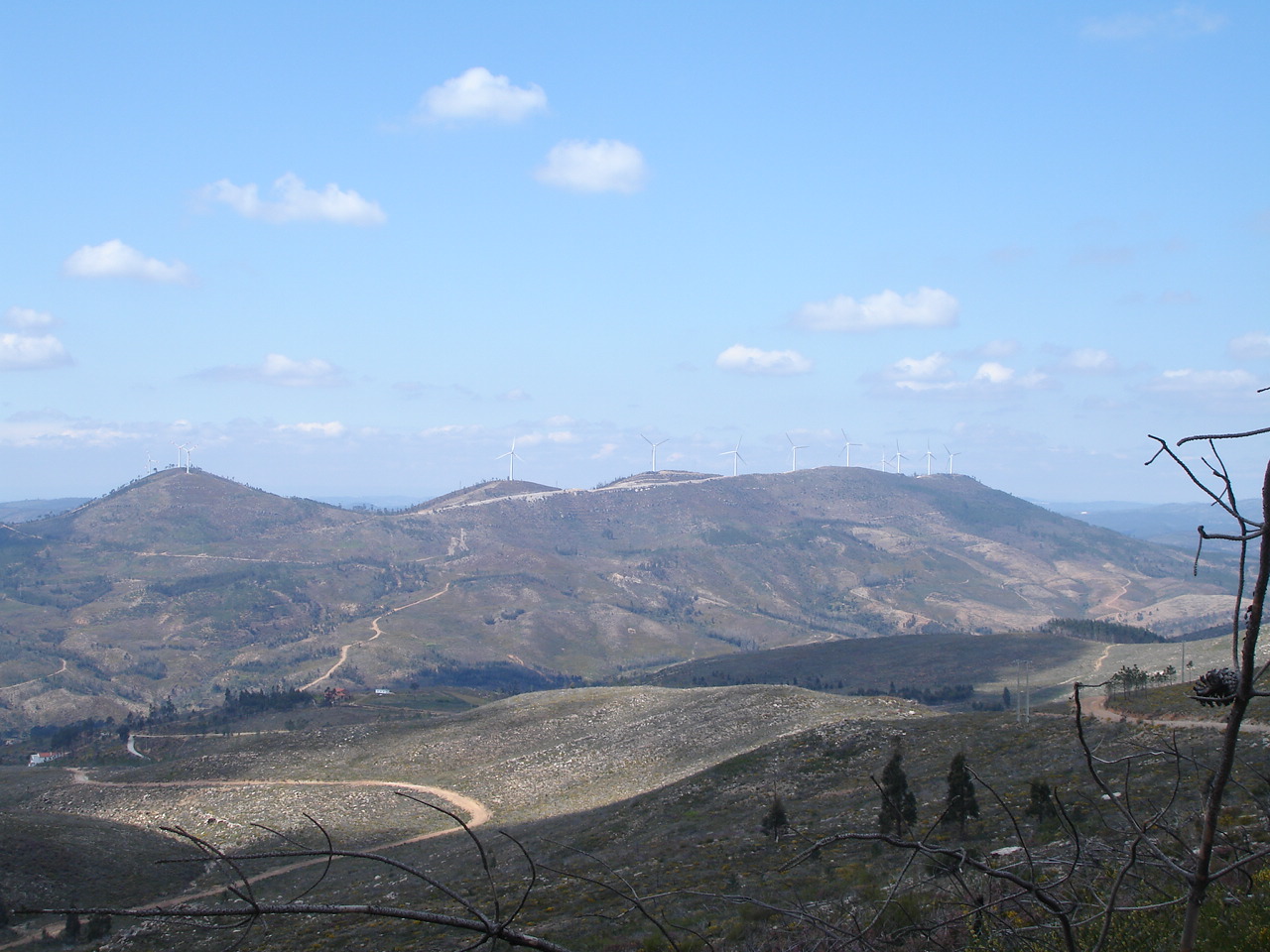 [DSC01048.JPG]