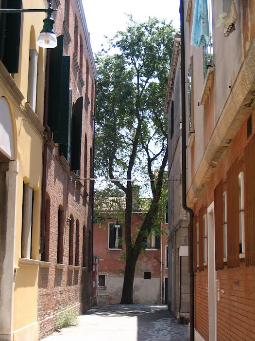 Narrow Streets of Venice