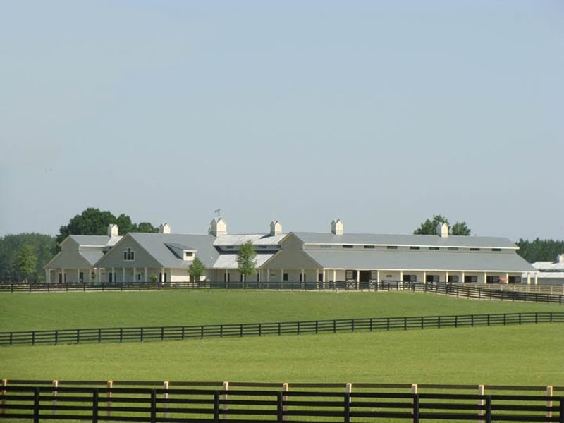 Stable Spotlight The Oaks Equestrian Center Five O'Clock Somewhere